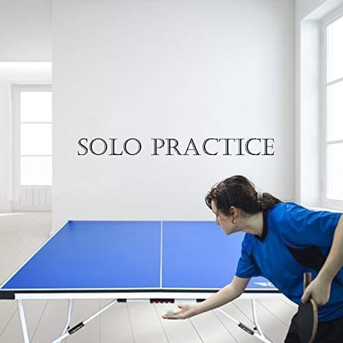 Table de tennis de table professionnelle ALPIKA 9FT pour intérieur et extérieur