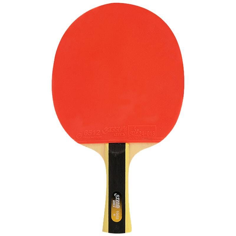 DHS 1 Stern T1002 Anfänger Tischtennisschläger + Hülle