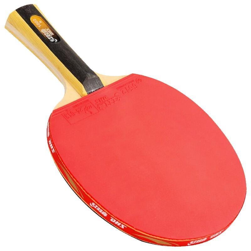 DHS 1 Stern T1002 Anfänger Tischtennisschläger + Hülle