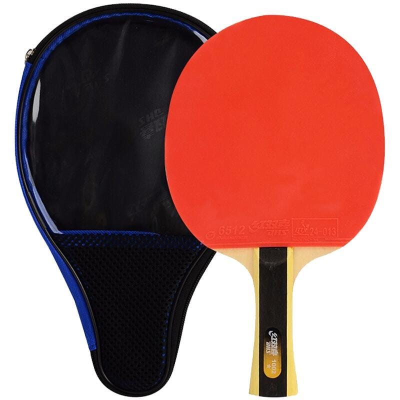 DHS 1 Stern T1002 Anfänger Tischtennisschläger + Hülle