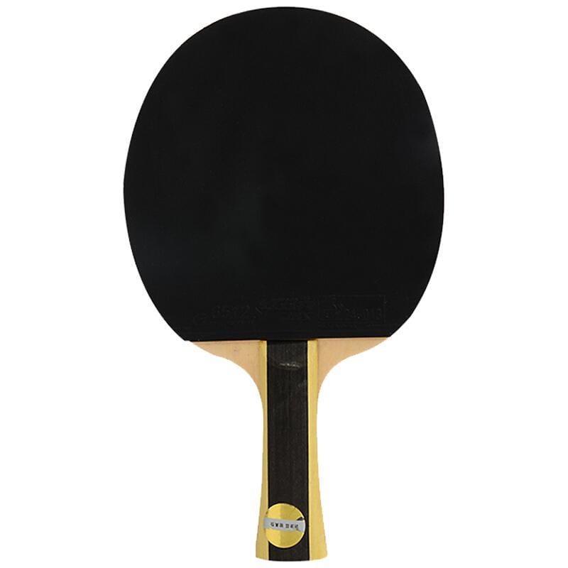 DHS 1 Stern T1002 Anfänger Tischtennisschläger + Hülle