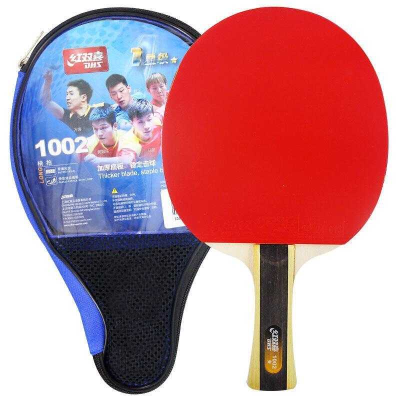 DHS 1 Stern T1002 Anfänger Tischtennisschläger + Hülle