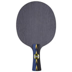 DHS PG13 5 Ply Fiberglass Carbon Blade