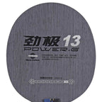 DHS PG13 5 Ply Fiberglass Carbon Blade