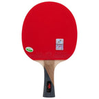 Friendship 729 Golden 4-Star Intermediate Table Tennis Bat with Case