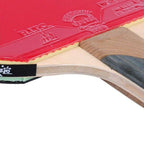 Friendship 729 Golden 4-Star Intermediate Table Tennis Bat with Case