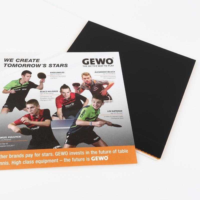 GEWO Nanoflex FT48 Tischtennisbelag