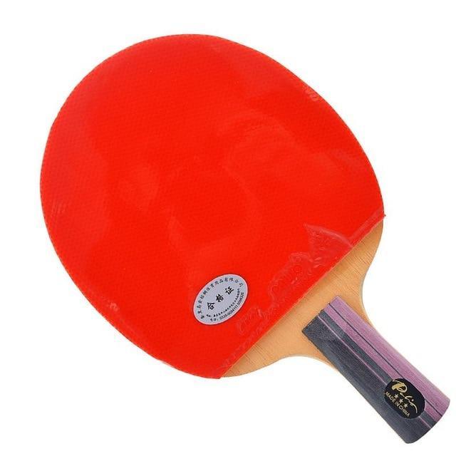 Palio 3-Sterne Expert Tischtennisschläger + Hülle