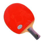 Palio 3 Star Expert Table Tennis Bat + Case