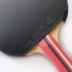 Palio Master 3.0 Professional Table Tennis Bat