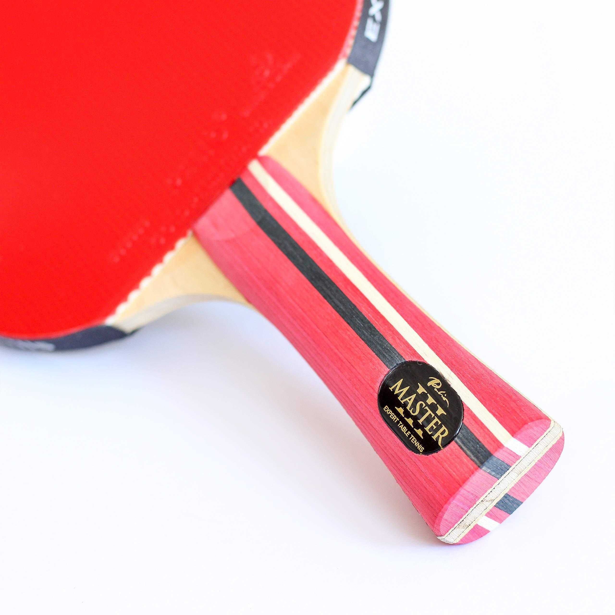 Palio Master 3.0 Professioneller Tischtennisschläger